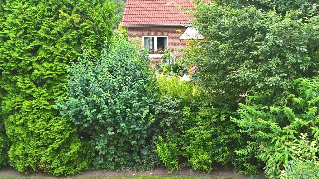 Ferienwohnung Fuchskuhle Bockhorn  Eksteriør billede